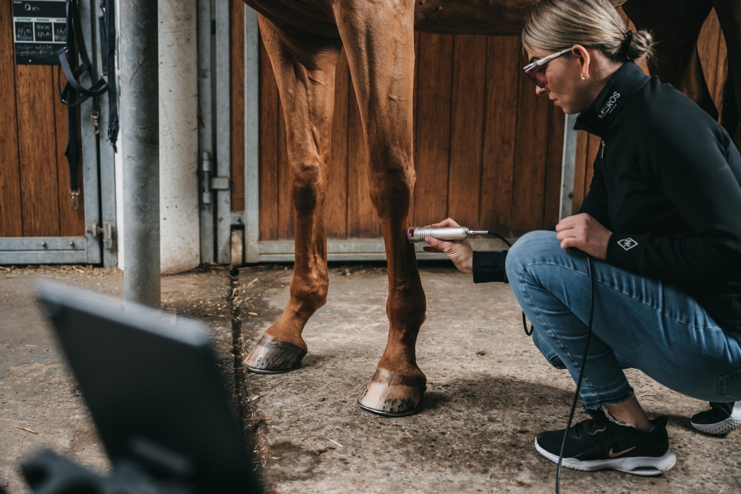 Lasertherapie peesblessure paard Lasertherapie peesblessure paard