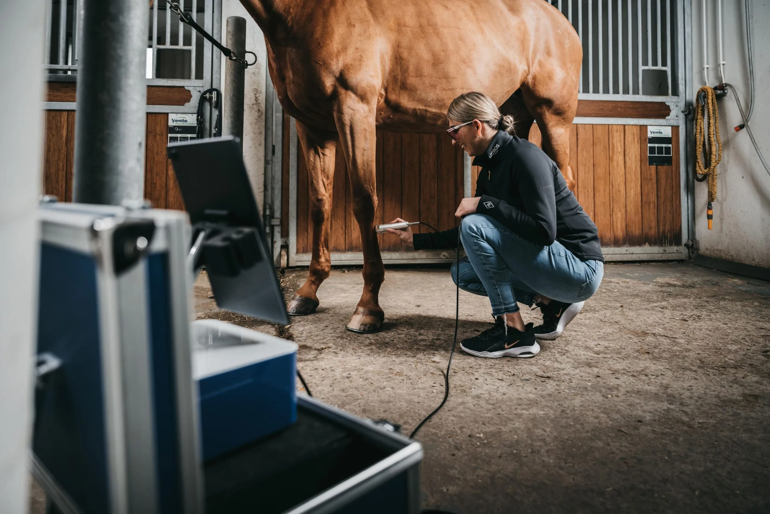 Highpower lasertherapie paard revalidatie peesblessure wondgenezing
