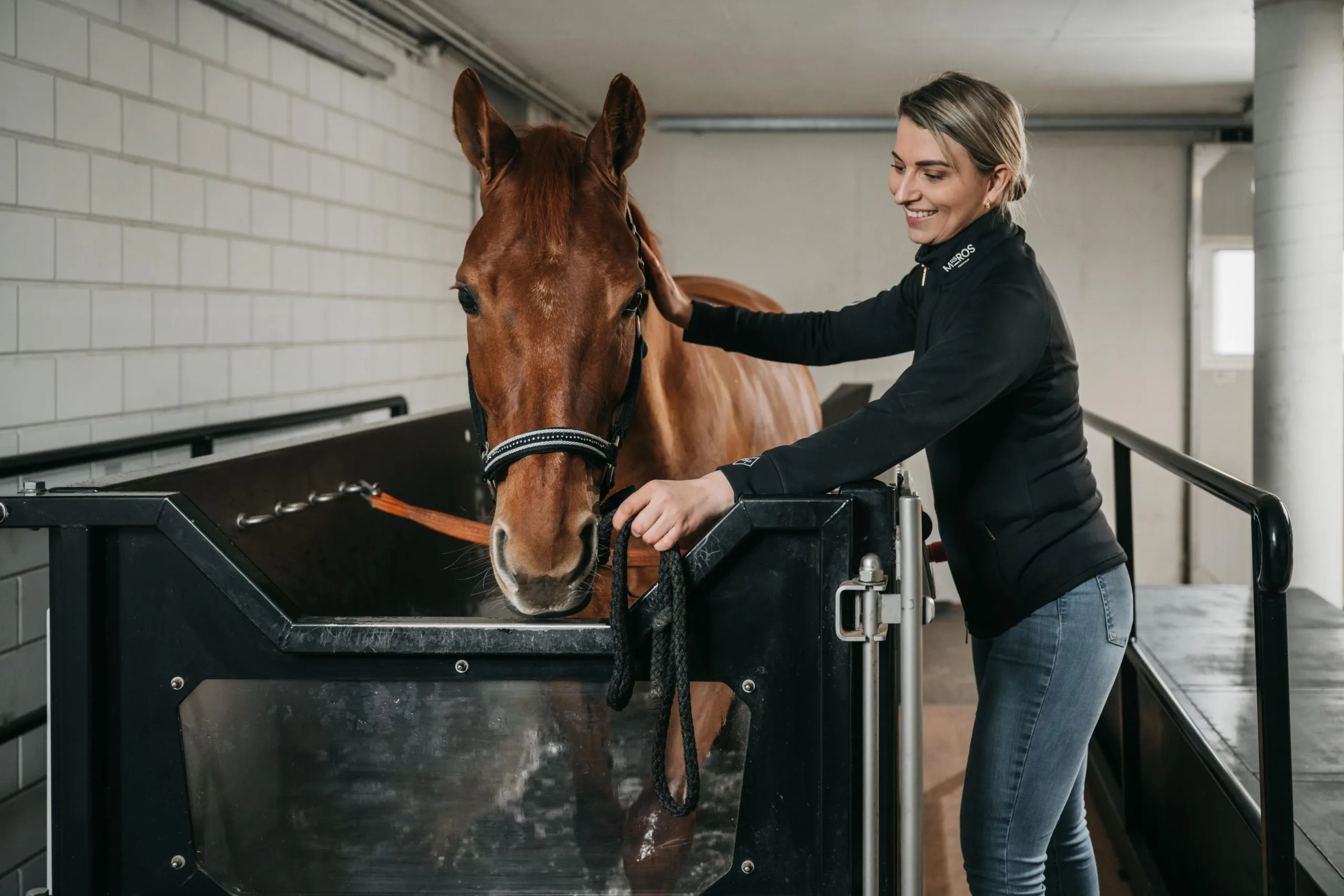 Aquatraining paard revalidatie Paard revalideren trainen aquatrainer