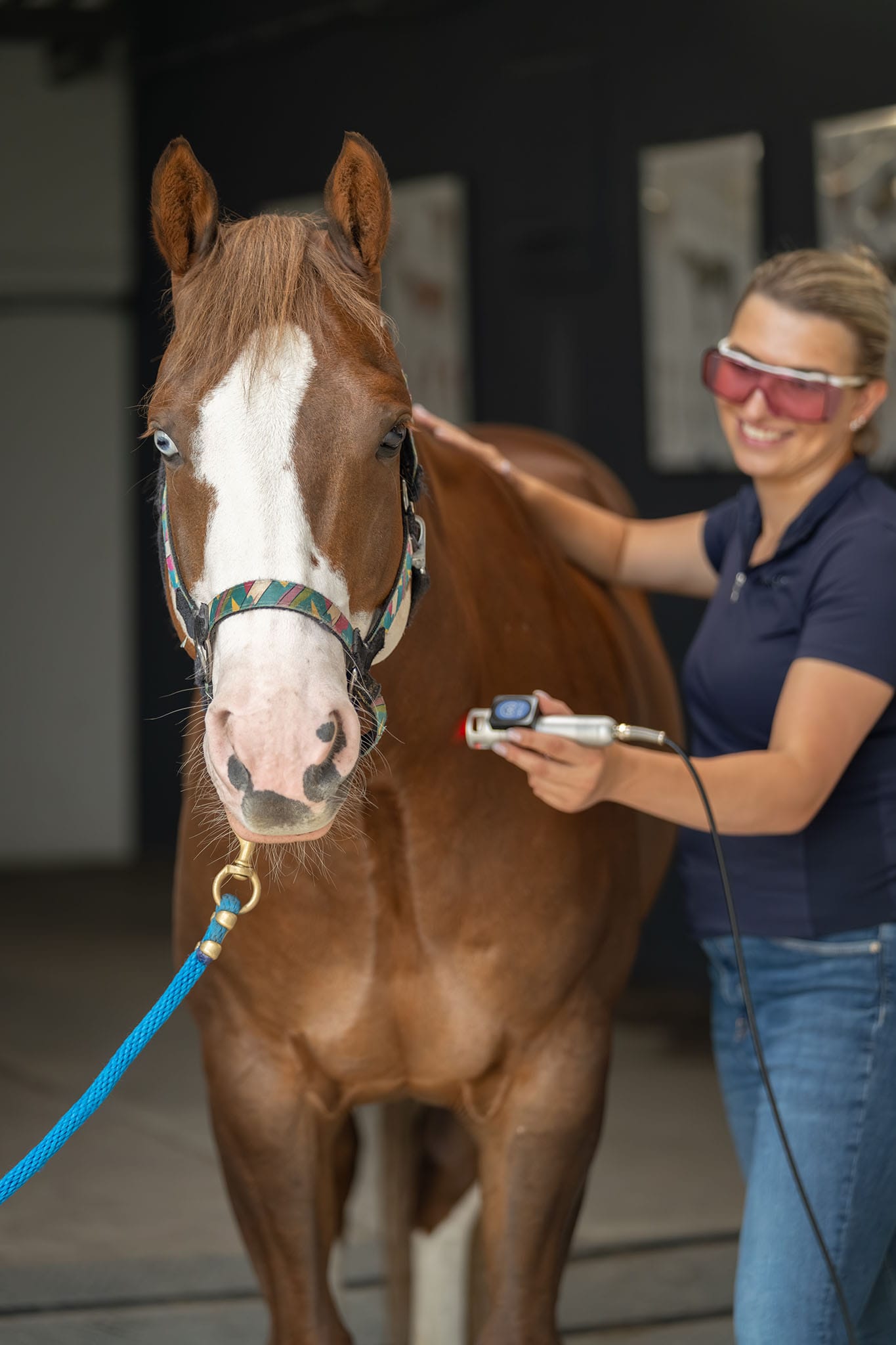 Lasertherapie voor paarden peesblessure genezing