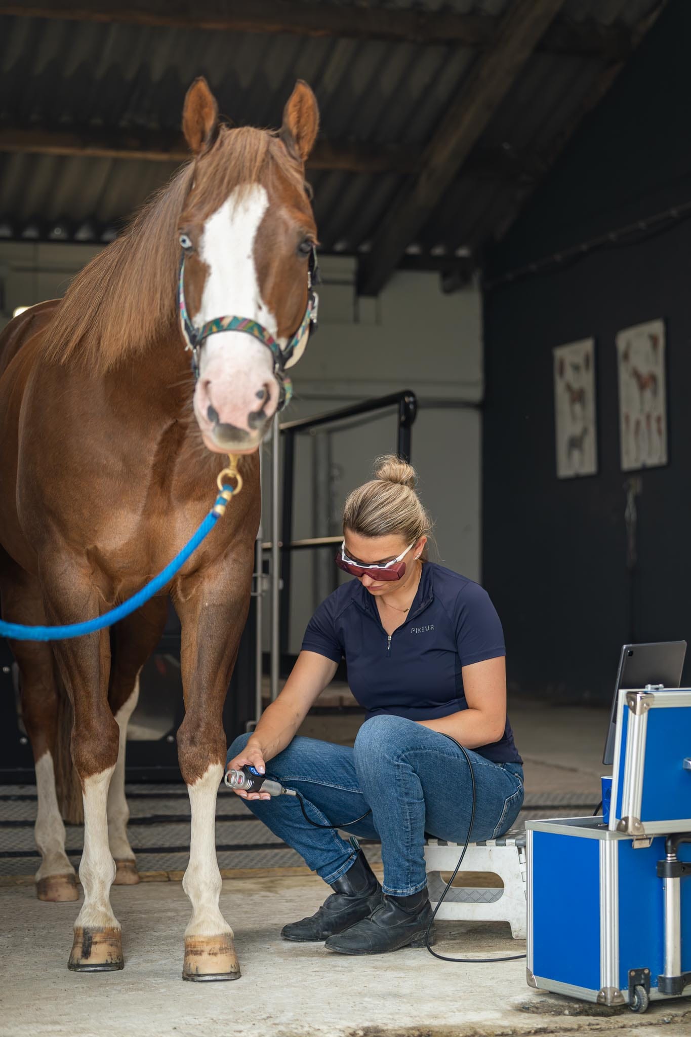 High power laser therapie paarden herstel revalidatie